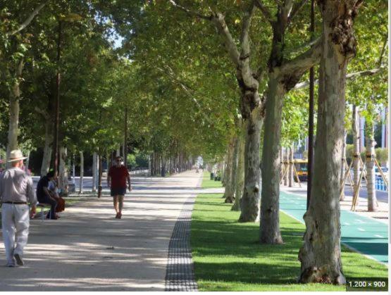 Alleanza, Aires De Guadalquivir Sevilla Exteriör bild